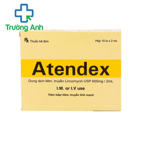 Antendex - Thuốc điều trị nhiễm khuẩn nặng của Ấn Độ