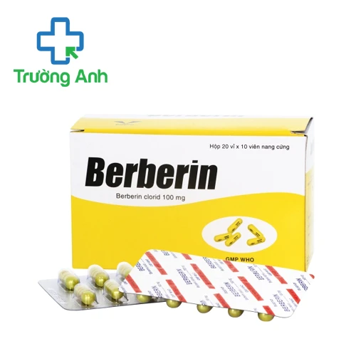 Berberin 100mg Bidiphar - Thuốc điều trị hội chứng lỵ