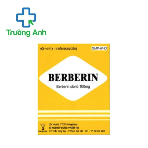Berberin 100mg Armephaco - Thuốc điều trị các bệnh đường ruột hiệu quả
