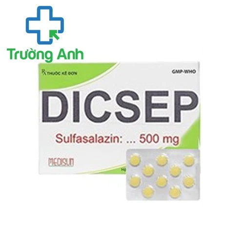 Dicsep 500mg - Thuốc điều trị viêm loét đường tiêu hóa hiệu quả