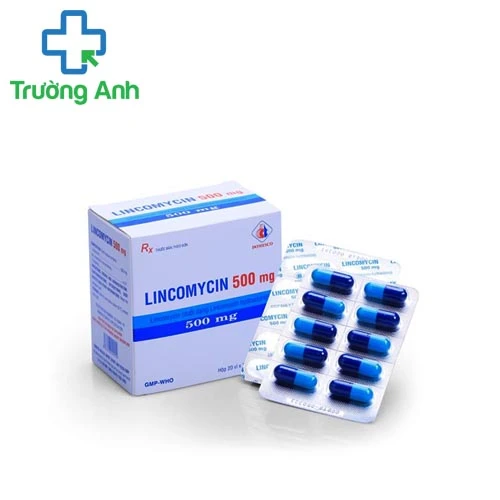 Lincomycin 500mg Pharbaco - Thuốc điều trị nhiễm khuẩn hiệu quả