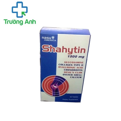 Shahytin - Giúp trị bệnh xương khớp, ngừa thoái hoá xương khớp