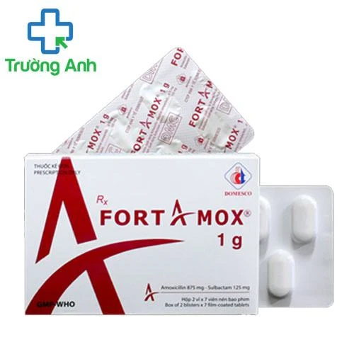 Fortamox 1g - Thuốc điều trị bệnh nhiễm khuẩn hiệu quả
