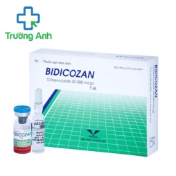 Bitolysis 4,25% - Thuốc điều trị suy thận mạn hiệu quả của Bidiphar
