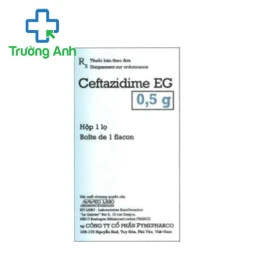 Ceftazidime EG 2g Pymepharco - Thuốc điều trị nhiễm khuẩn hiệu quả