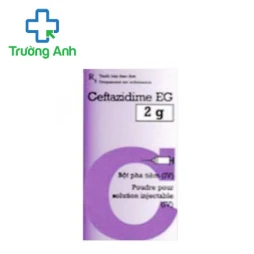 Ceftazidime EG 0,5g Pymepharco - Thuốc điều trị nhiễm khuẩn hiệu quả