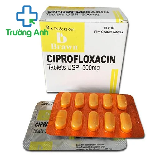 Ciprofloxacin 500mg Brawn - Thuốc điều trị nhiễm khuẩn hiệu quả