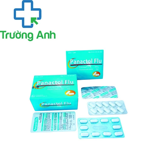 Panactol Flu Khapharco - Thuốc điều trị nghẹt mũi, sổ mũi