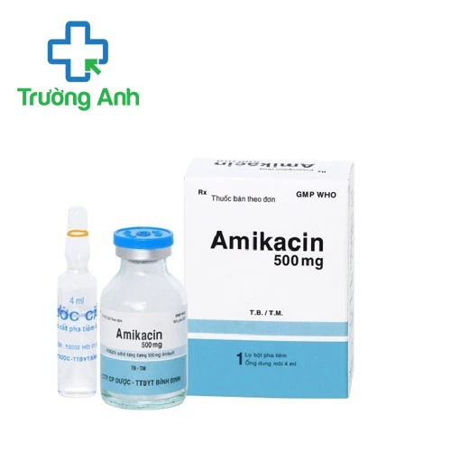 Amikacin 500mg Bidiphar  - Thuốc điều trị nhiễm khuẩn hiệu quả