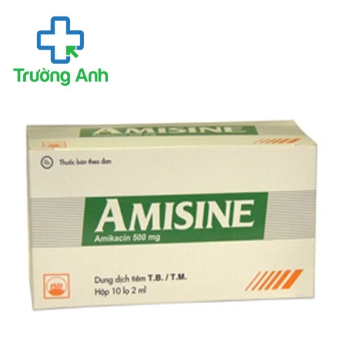 Amisine 500mg Pymepharco - Thuốc điều trị nhiễm khuẩn hiệu quả