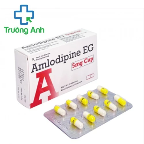 Amlodipine EG 5mg Cap - Thuốc điều trị cao huyết áp, đau thắt ngực