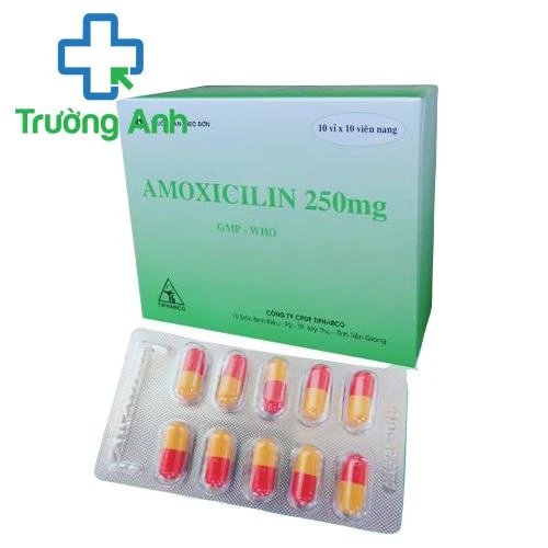 Amoxicilin 250mg Tipharco (viên) - Thuốc điều trị nhiễm khuẩn