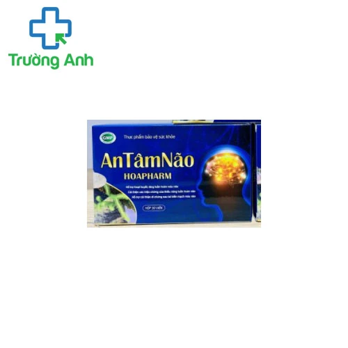 AN TÂM NÃO HOAPHARM - Hỗ trợ hoạt huyết, tăng tuần hoàn máu não