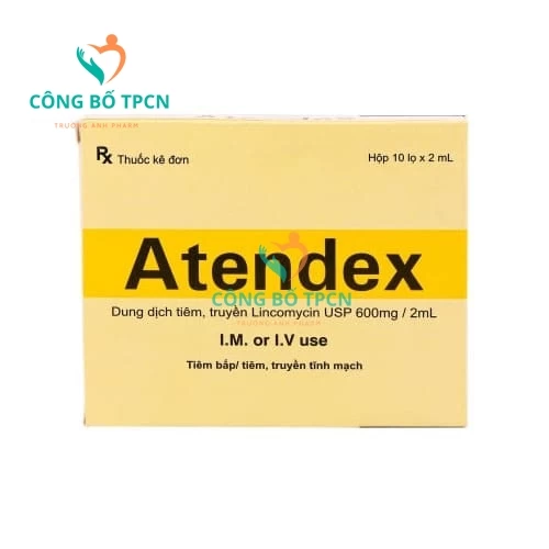 Atendex 600mg/2ml - Thuốc điều trị các bệnh nhiễm khuẩn nặng