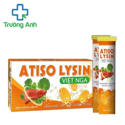 Atiso - Lysin Việt Nga - Hỗ trợ tăng cường chức năng giải độc gan