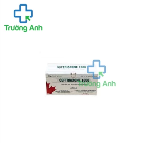 Taxibiotic 1000 - Thuốc điều trị nhiễm khuẩn