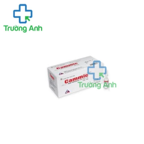 Cammic 500mg/5ml Vinphaco - Thuốc điều trị xuất huyết