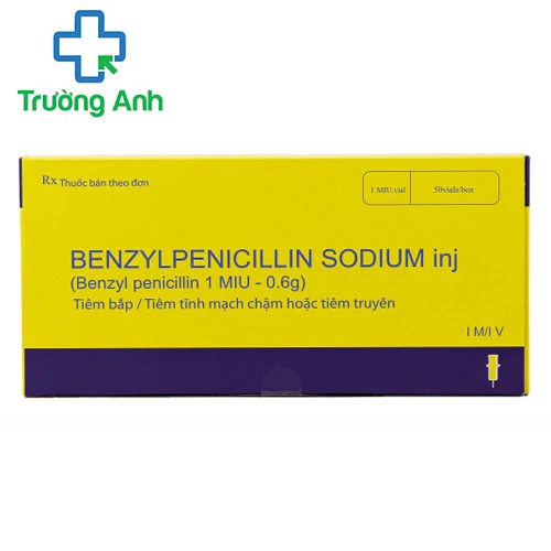 BENZYLPENICILLIN SODIUM - Thuốc điều trị nhiễm trùng hiệu quả