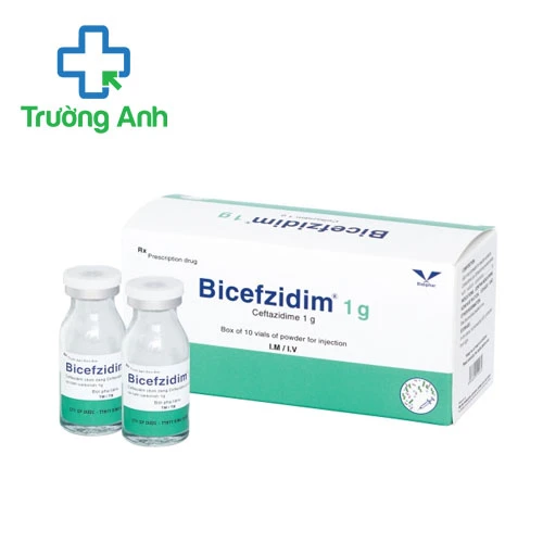 Bicefzidim 1g Bidiphar - Thuốc điều trị nhiễm khuẩn hiệu quả
