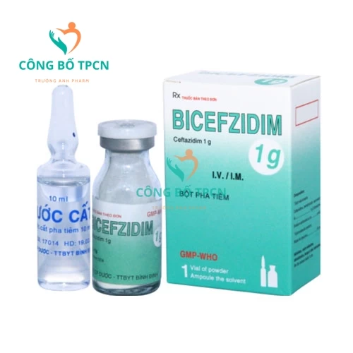 Bicefzidim 1g Bidiphar - Thuốc điều trị nhiễm khuẩn hiệu quả