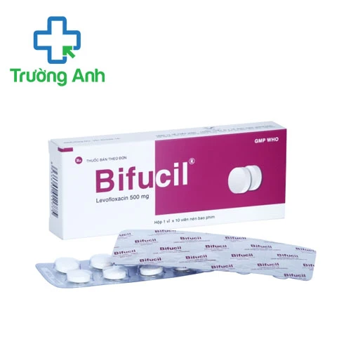 Bifucil 500mg Bidiphar - Thuốc điều trị nhiễm khuẩn hiệu quả