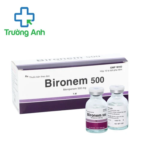 Bironem 500 Bidiphar - Thuốc điều trị nhiễm khuẩn hiệu quả