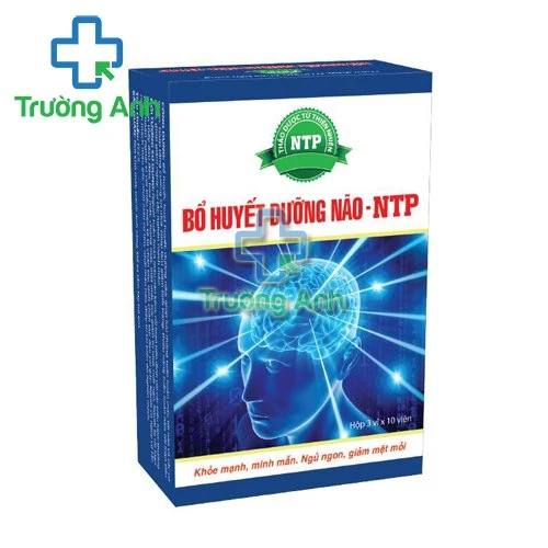 Bổ Huyết Dưỡng Não NTP - Tăng cường chức năng tuần hoàn não