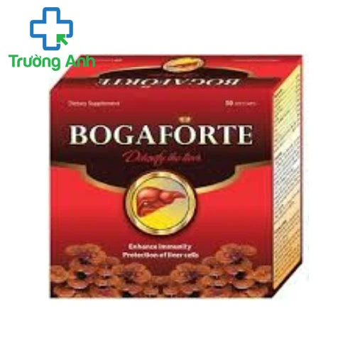 Bogaforte Plus - Giúp tăng cường chức năng gan