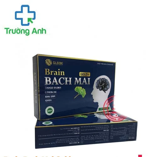 Brain Bach Mai Gold + - Hỗ trợ tăng cường tuần hoàn máu não