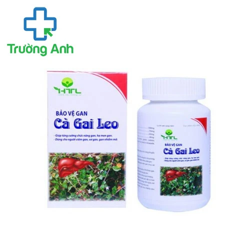 Bảo Vệ Gan Cà Gai Leo - Giúp bổ gan, tăng cường chức năng