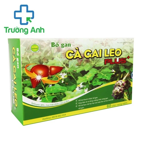 Cà gai leo plus + - Giúp bảo vệ và tăng cường chức năng gan