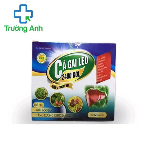 Cà gai leo 2400 Gol - Hỗ trợ bảo vệ gan, phục hồi chức năng gan