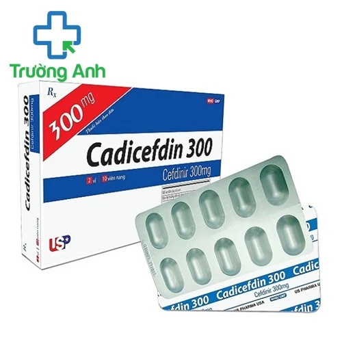Cadicefdin 300 USP - Thuốc điều trị nhiễm khuẩn từ nhẹ đến vừa