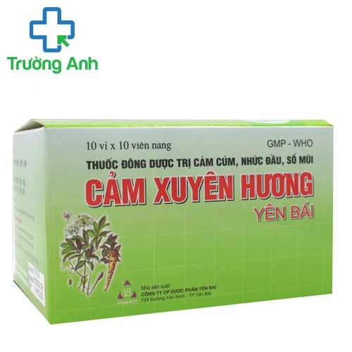 Cảm xuyên hương yên bái (viên) - Hỗ trợ điều trị cảm cúm hiệu quả