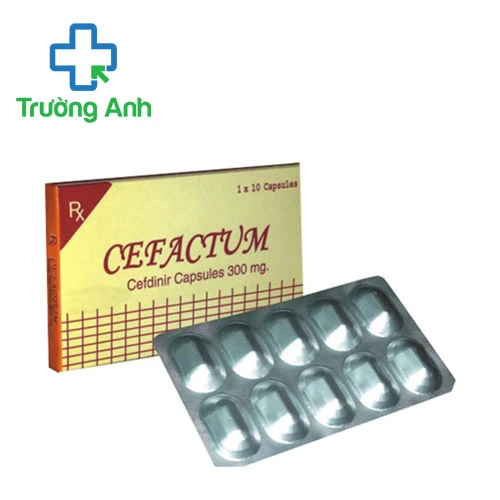 Cefactum 300mg - Thuốc điều trị các nhiễm khuẩn nhẹ và trung bình hiệu quả