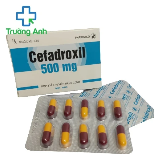 Cefadroxil 500mg MD Pharco (viên) - Thuốc điều trị nhiễm khuẩn