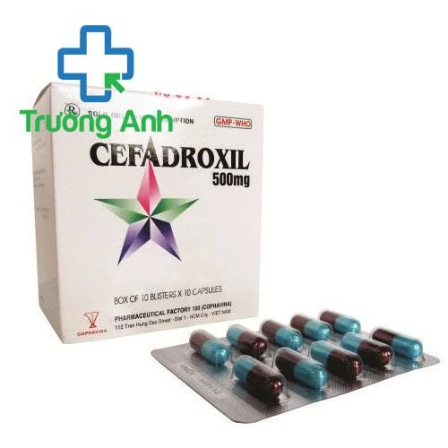 Cefadroxil 500mg Armephaco - Thuốc điều trị các nhiễm khuẩn hiệu quả