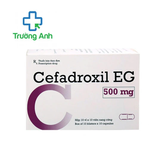Cefadroxil EG 500mg - Thuốc kháng sinh của Pymepharco