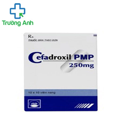 Cefadroxil PMP 250mg - Điều trị nhiễm khuẩn từ nhẹ và trung bình