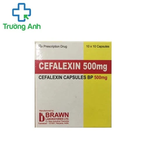 Cefalexin 500 - Thuốc kháng sinh điều trị nhiễm khuẩn hiệu quả