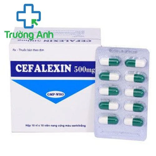 Cefalexin 500mg Tipharco - Thuốc điều trị nhiễm khuẩn