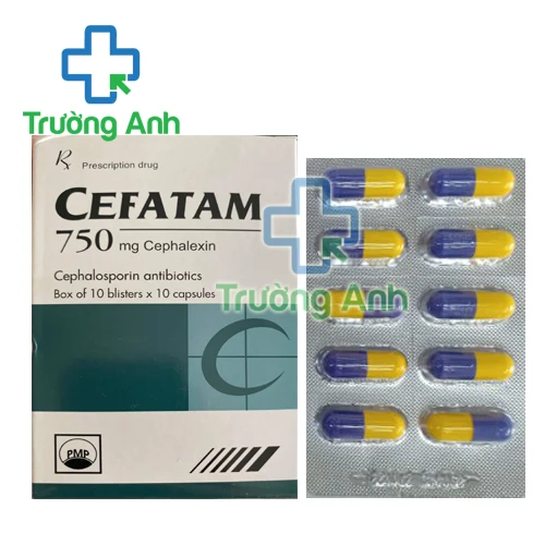 Cefatam 750 Pymepharco - Điều trị nhiễm trùng, nhiễm khuẩn
