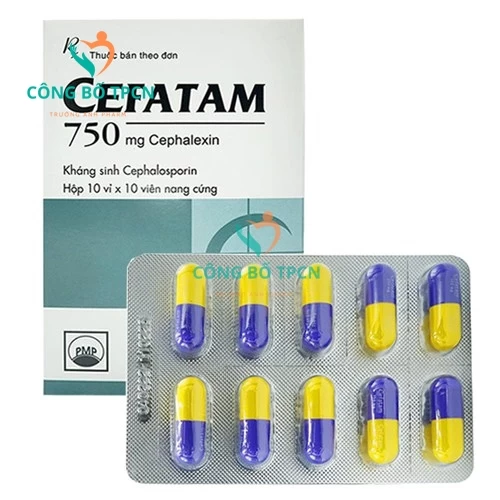 Cefatam 750 Pymepharco - Điều trị nhiễm trùng, nhiễm khuẩn