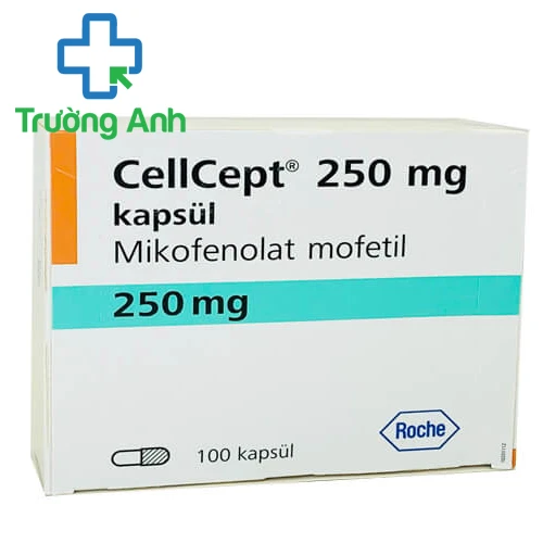 Cellcept 250mg - Thuốc phòng ngừa đào thải khi ghép cơ quan của Italy