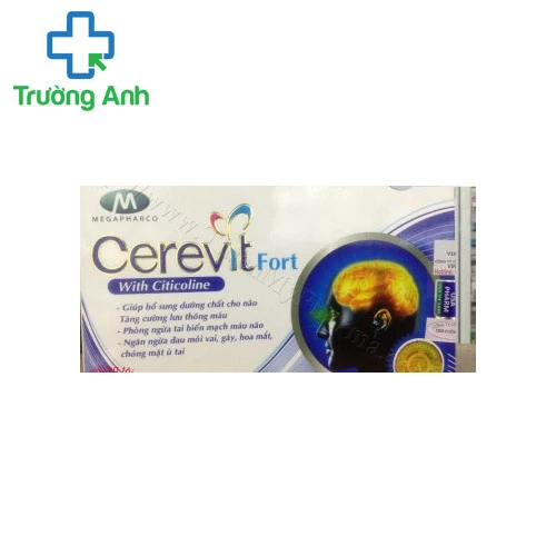 Cerebest Fort - Hỗ trợ tăng tuần hoàn não, tăng cường trí nhớ