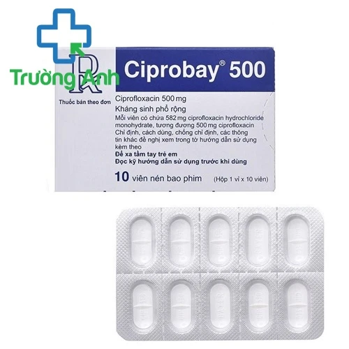 Ciprobay 500mg - Thuốc điều trị nhiễm khuẩn hiệu quả của Đức