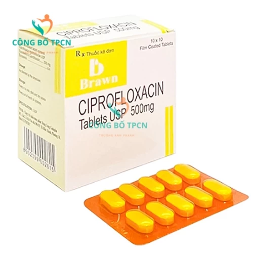 Ciprofloxacin 500mg Brawn - Thuốc điều trị nhiễm khuẩn hiệu quả
