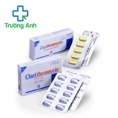 Clarithromycin 250mg Domesco - Thuốc điều trị nhiễm khuẩn hiệu quả