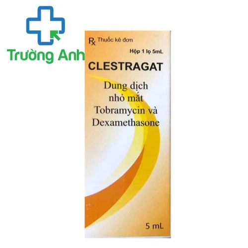 Clestragat 5ml - Thuốc nhỏ mắt điều tị viêm kết mạc hiệu quả