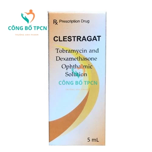 Clestragat 5ml - Thuốc nhỏ mắt điều tị viêm kết mạc hiệu quả